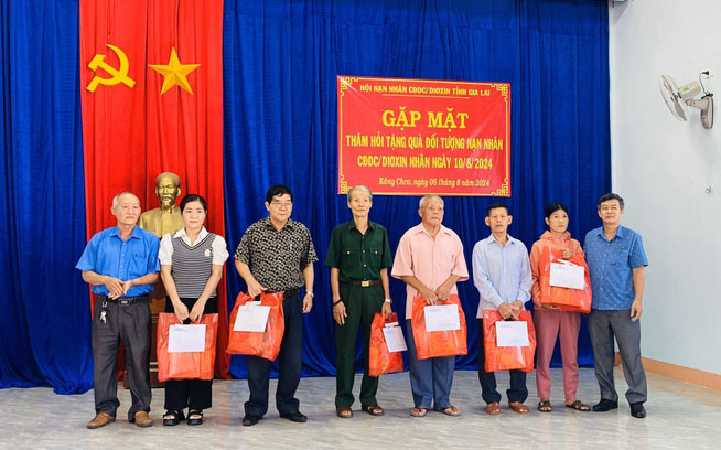 Thời gian qua, các cấp, ngành trên địa bàn tỉnh đã có nhiều hoạt động tập trung chăm sóc, giúp đỡ về vật chất, tinh thần giúp nạn nhân CĐDC vượt qua khó khăn, ổn định cuộc sống. Ảnh đơn vị cung cấp.