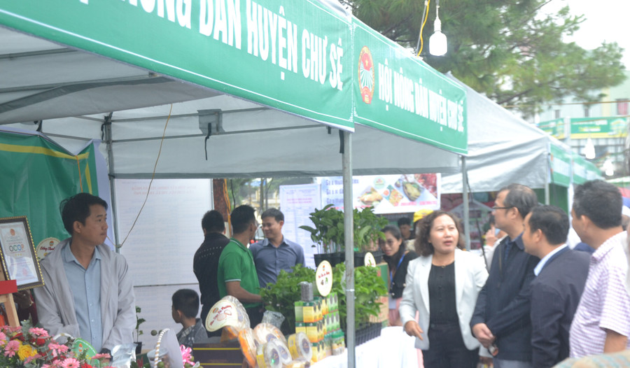 Cán bộ, hội viên nông dân và bà con tham quan, mua sắm sản phẩm tại gian hàng của Hội Nông dân huyện Chư Sê. Ảnh: Hoàng Cư