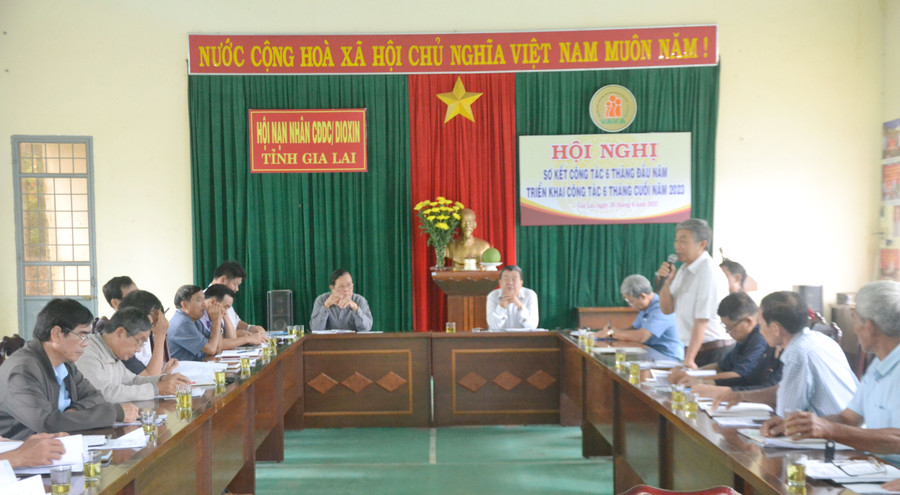 Hội nghị sơ kết 6 tháng đầu năm và triển khai công tác 6 tháng cuối năm 2023 tại Hội Nạn nhân CĐDC/dioxin tỉnh. Ảnh: Hoàng Minh