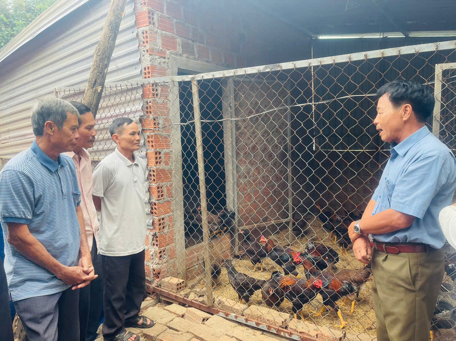 Hội Nông dân thị xã Ayun Pa tổ chức cho hội viên tham quan mô hình chăn nuôi gà trên đệm lót sinh học. Ảnh: Vũ Chi Hội Nông dân thị xã Ayun Pa tổ chức cho hội viên tham quan mô hình chăn nuôi gà trên đệm lót sinh học. Ảnh: Vũ Chi