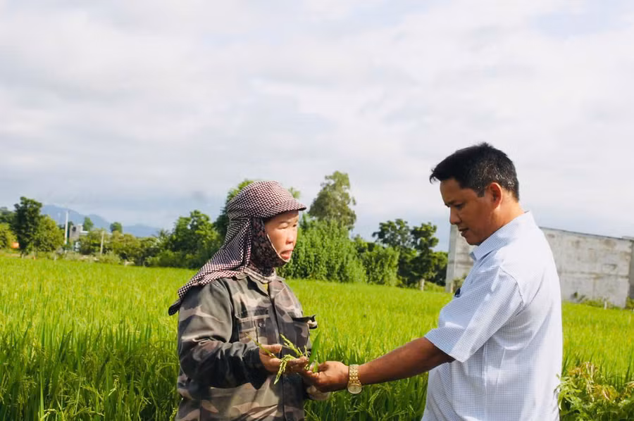 Bà Nguyễn Thị Miền (Bí thư Chi bộ kiêm Trưởng thôn Thanh Bình, xã Uar, huyện Krông Pa) chia sẻ kinh nghiệm trồng lúa. Ảnh: Vũ Chi
