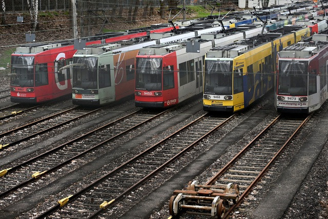 Tàu nằm trong bãi ở thành phố Bonn, Đức ngày 27/3. Ảnh: Reuters Tàu nằm trong bãi ở thành phố Bonn, Đức ngày 27/3. Ảnh: Reuters