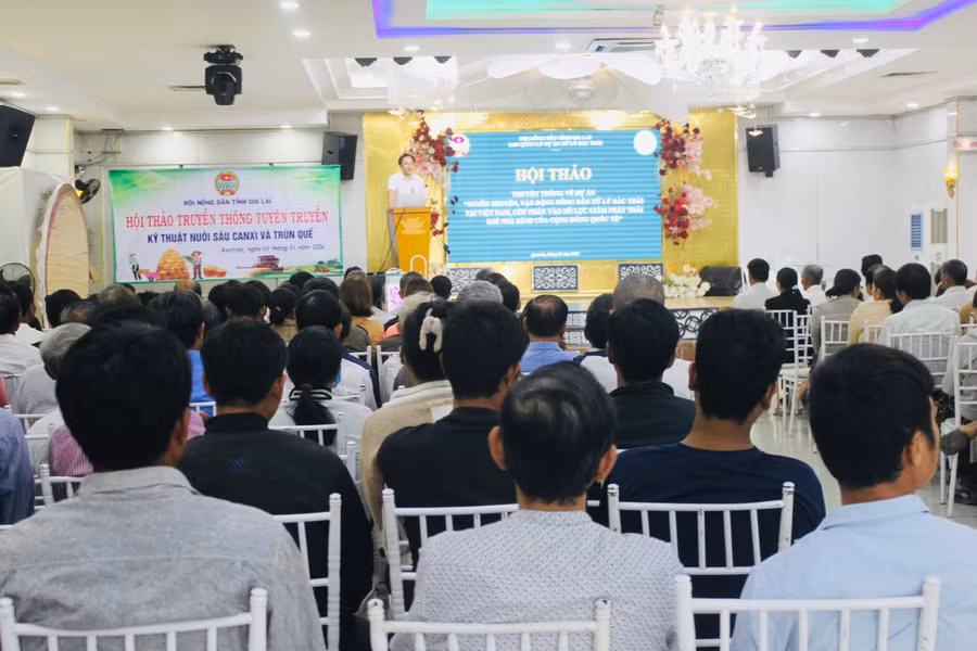 Quang ảnh hội thảo: Ảnh: Vũ Chi