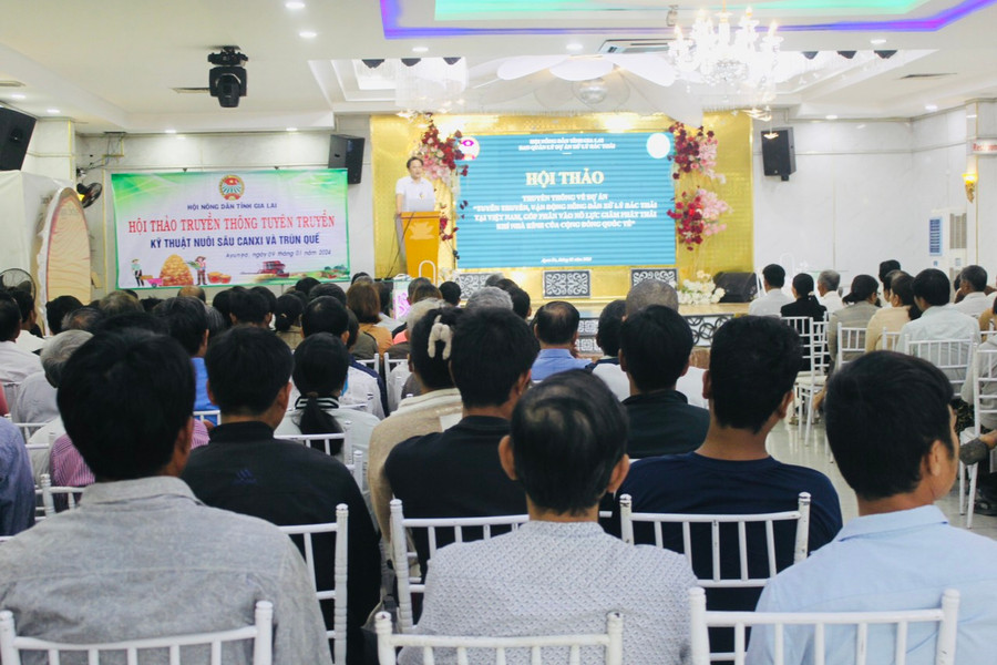 Quang ảnh hội thảo: Ảnh: Vũ Chi Quang ảnh hội thảo: Ảnh: Vũ Chi