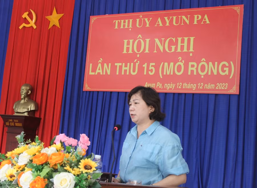 Trưởng ban Dân vận Tỉnh ủy Phạm Thị Tố Hải phát biểu tại hội nghị. Ảnh: Vũ Chi