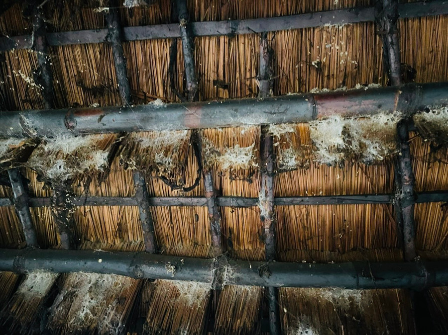 Nhờ có khói bếp, những thanh tre cũng như lớp cỏ tranh lợp mái nhà không bị mối mọt, hư hỏng. Ảnh: Vũ Chi Nhờ có khói bếp, những thanh tre cũng như lớp cỏ tranh lợp mái nhà không bị mối mọt, hư hỏng. Ảnh: Vũ Chi