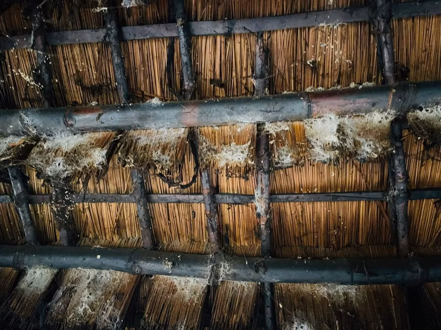 Nhờ có khói bếp, những thanh tre cũng như lớp cỏ tranh lợp mái nhà không bị mối mọt, hư hỏng. Ảnh: Vũ Chi