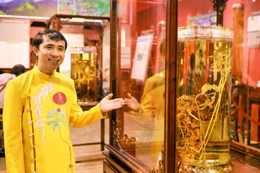 Ông Việt giới thiệu Bảo tàng sâm Ngọc Linh của mình.
