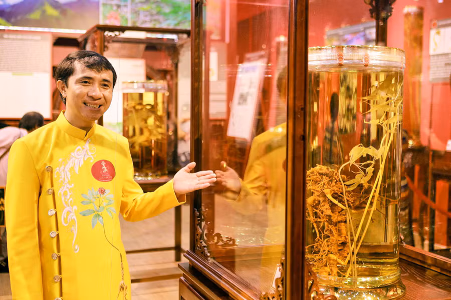 Ông Việt giới thiệu Bảo tàng sâm Ngọc Linh của mình.