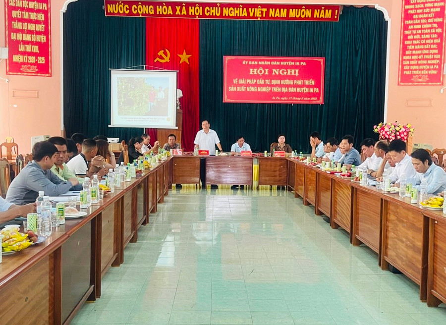 Quang cảnh hội nghị. Ảnh: Vũ Chi