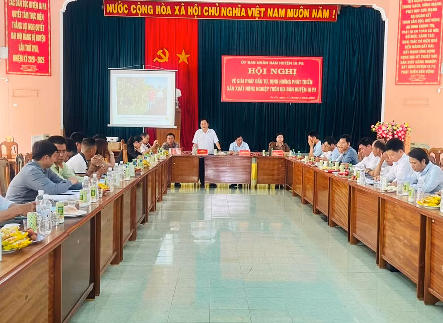 Quang cảnh hội nghị. Ảnh: Vũ Chi