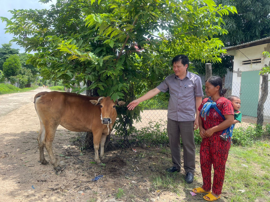 Phó Chủ tịch Thường trực HĐND tỉnh Trương Văn Đạt tặng bò sinh sản cho gia đình bà Kpă H'Lúi-hộ nghèo làng Drok. Ảnh: Vũ Chi Phó Chủ tịch Thường trực HĐND tỉnh Trương Văn Đạt tặng bò sinh sản cho gia đình bà Kpă H'Lúi-hộ nghèo làng Drok. Ảnh: Vũ Chi