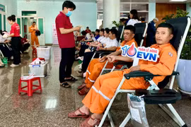 Gần 200 cán bộ, công nhân viên, người lao động trong Công ty Điện lực Gia Lai hưởng ứng Tuần lễ hồng EVN lần thứ X năm 2024. Ảnh Hà Duy.