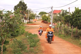 Tổng vốn đầu tư lưới điện do Công ty Điện lực Gia Lai triển khai trên địa bàn tỉnh năm 2025 dự kiến trên 212 tỷ đồng. Ảnh: Hà Duy