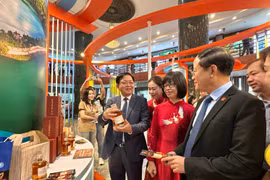 80 doanh nghiệp tham gia Không gian triển lãm kinh tế tại Hội nghị Xúc tiến đầu tư tỉnh Gia Lai năm 2025