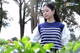 Biển Hồ chè (xã Biển Hồ, tỉnh Gia Lai)-Dấu ấn trăm năm