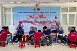 Sinh viên Phân hiệu Trường Đại học Nông Lâm TP. Hồ Chí Minh tại Gia Lai tham gia Ngày hội hiến máu tình nguyện năm 2025.
