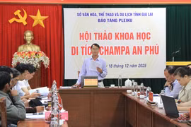 Gia Lai: Đề nghị xếp hạng di tích lịch sử cấp tỉnh cho Di tích Champa An Phú.