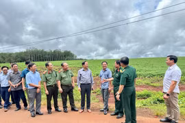 Phó Bí thư Tỉnh ủy, Chủ tịch UBND tỉnh Phạm Anh Tuấn kiểm tra thực địa tại các xã biên giới