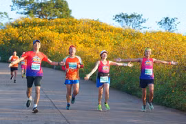 Gia Lai City Trail 2025-Giấc mơ đại ngàn chính thức mở cổng đăng ký