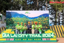 Hàng ngàn vận động viên hào hứng đổ về giải chạy “Gia Lai City Trail 2024-Giấc mơ đại ngàn”