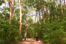 Sở Nông nghiệp và PTNT lấy ý kiến các đơn vị có liên quan về tờ trình dự thảo các Quyết định của Chủ tịch UBND tỉnh Quy định chức năng, nhiệm vụ, quyền hạn và cơ cấu tổ chức của các Ban Quản lý rừng phòng hộ. Ảnh: Hà Duy