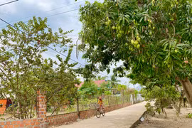 Một góc buôn Rưng Ma Đoan (xã Ia Rbol, thị xã Ayun Pa). Ảnh: Hà Duy