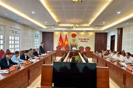 Phó Chủ tịch UBND tỉnh Nguyễn Hữu Quế làm việc với Công ty cổ phần sản xuất và kinh doanh Vinfast (VGreen). Ảnh Hà Duy