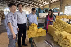 Một góc nhà máy chế biến mủ của Công ty TNHH một thành viên Cao su Chư Sê. Ảnh: Hà Đức Thành