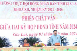 Đại biểu HĐND tỉnh Gia Lai chất vấn nhiều vấn đề “nóng” trong lĩnh vực Tài chính-Đầu tư xây dựng