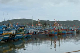 Chủ tịch UBND tỉnh yêu cầu quản lý chặt chẽ các tàu thuyền ra khơi. Ảnh: P.V