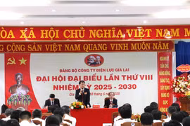 Quang cảnh Đại hội. Ảnh: H.D