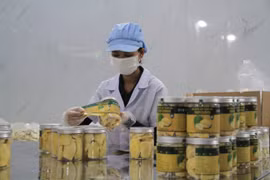 Sầu riêng sấy thăng hoa: Định hình hướng đi mới cho nông sản Gia Lai