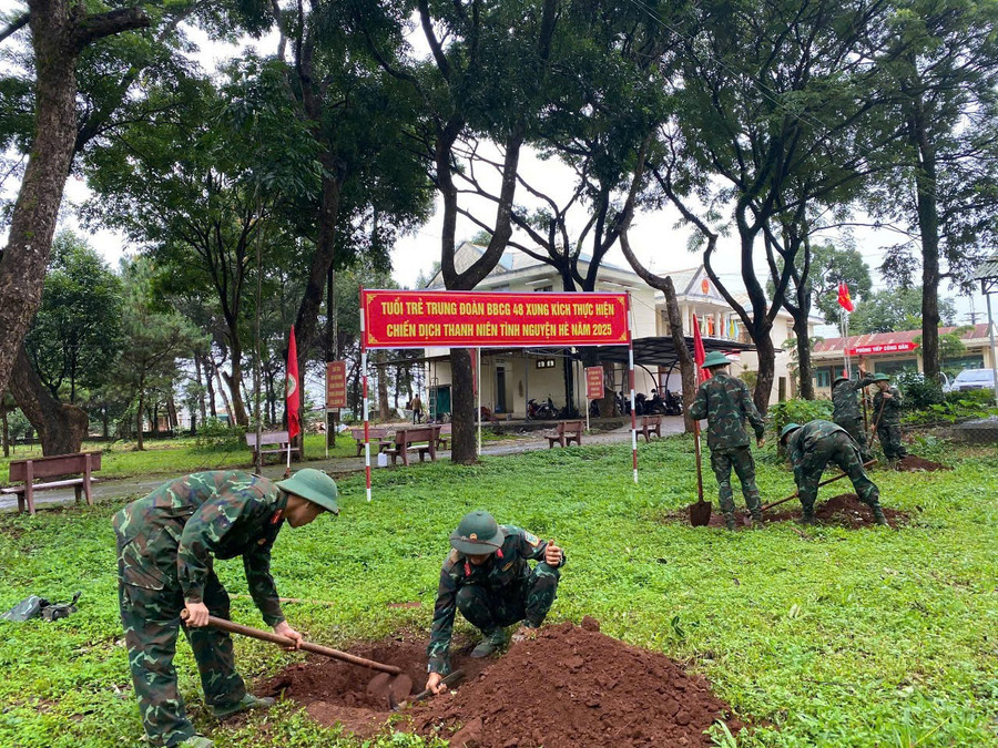 Cán bộ, chiến sĩ Sư đoàn 320 trồng cây xanh tại xã Gào. Ảnh: Vĩnh Hoàng hinh-1.jpg
