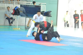 Hơn 300 VĐV tranh tài tại Giải Vô địch các câu lạc bộ Pencak Silat quốc gia 2025 