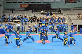 Hơn 400 vận động viên tranh tài Giải Vô địch Vovinam tỉnh Gia Lai