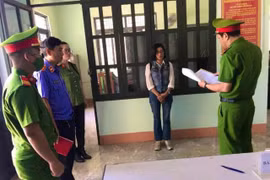 Đak Pơ: Tạm giam đối tượng hủy hoại rừng