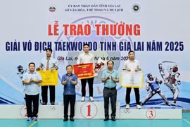  Trao 43 bộ huy chương Giải Vô địch Taekwondo tỉnh Gia Lai năm 2025 