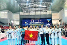 Gia Lai giành 9 huy chương tại Giải vô địch và trẻ Taekwondo Đông Nam Á