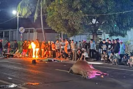 Đức Cơ: Tông vào bò thả rông, 1 người đi xe máy tử vong