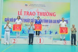 Trao 31 bộ huy chương Giải Vô địch Võ thuật Cổ truyền tỉnh Gia Lai năm 2025