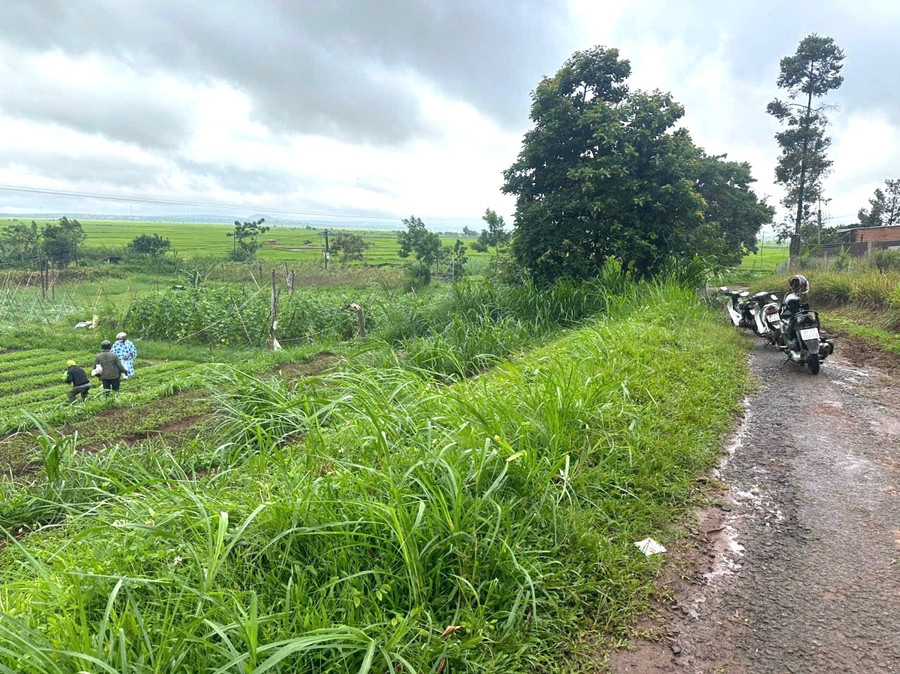 Khu vực đồng ruộng ở thôn Piơm-nơi bà N. gặp nạn. Ảnh: Văn Sơn khu-vuc-ruong-o-thon-piom-noi-ba-n-gap-nan-anh-van-son.jpg