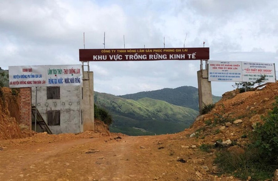 Khu vực trồng rừng của Công ty Phúc Phong. Ảnh: Văn Ngọc khu-vuc-trong-rung-cua-cong-ty-phuc-phong-anh-van-ngoc.jpg