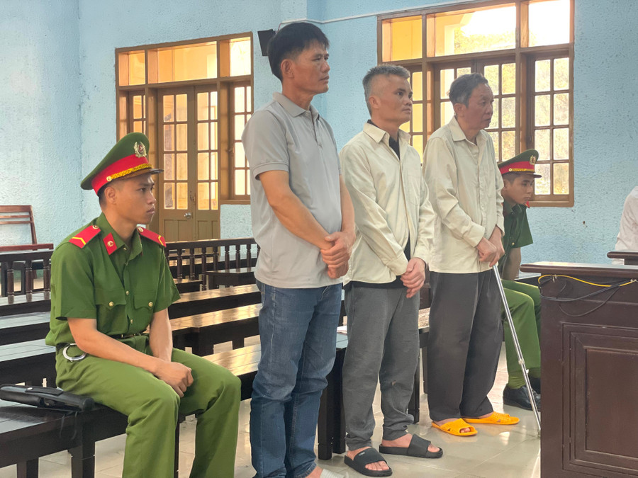 3 bị cáo (từ phải sang): Lê Hoàng Phúc, Lục Văn Khoa và Lê Văn Tuyển hầu tòa về tội danh "Hủy hoại rừng". Ảnh: Văn Ngọc 3-bi-cao-da-phai-hau-toa-ve-toi-danh-huy-hoai-rung-anh-van-ngoc.jpg
