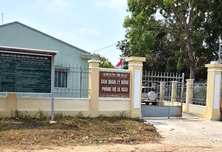 truong-ban-quan-ly-rung-phong-ho-ia-rsai-da-bi-bat-anh-quoc-vung.jpg