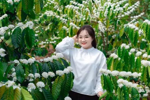 Cô gái kể chuyện đại ngàn qua những khung hình biết nói