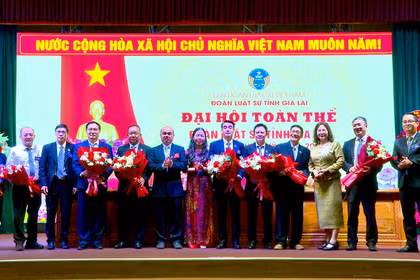 Luật sư Võ Hồng Nam làm Chủ nhiệm Đoàn Luật sư tỉnh Gia Lai