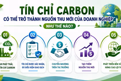Tín chỉ carbon có thể trở thành nguồn thu mới của doanh nghiệp như thế nào?