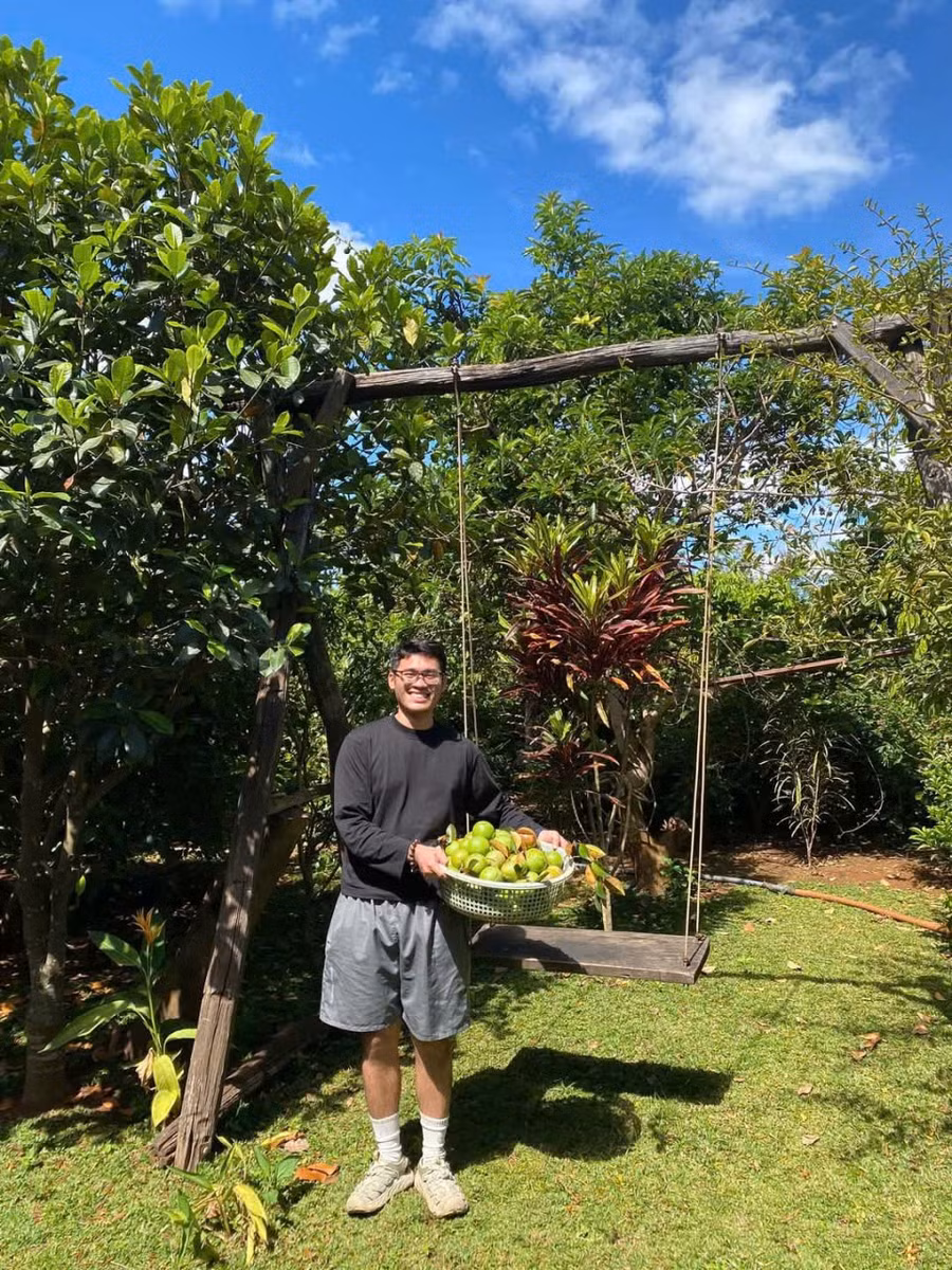 khong-gian-xanh-tai-po-lang-farmstay-voi-nhieu-loai-cay-an-trai-tao-diem-nhan-gan-gui-voi-thien-nhien-cho-du-khach.jpg