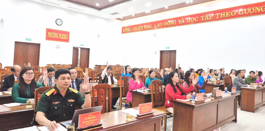 hdnd-phuong-pleiku-thong-qua-4-nghi-quyet-tai-ky-hop-chuyen-de-5508.jpg